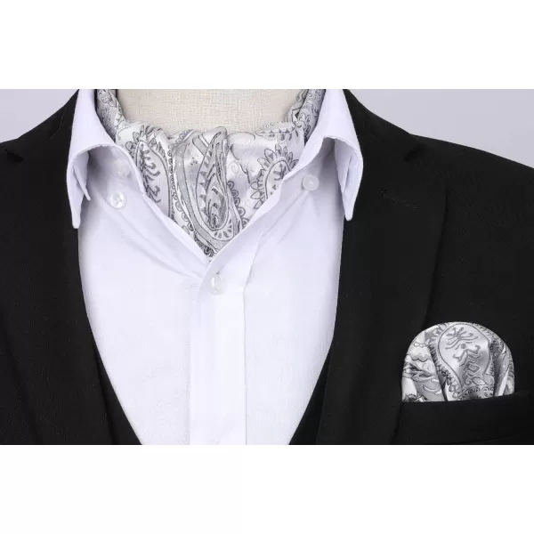 HISDERN Ascot Ties for Men Paisley Cravat Tie and Pocket Square Set Floral Mens Ascot Scarf Handkerchief Wedding Party