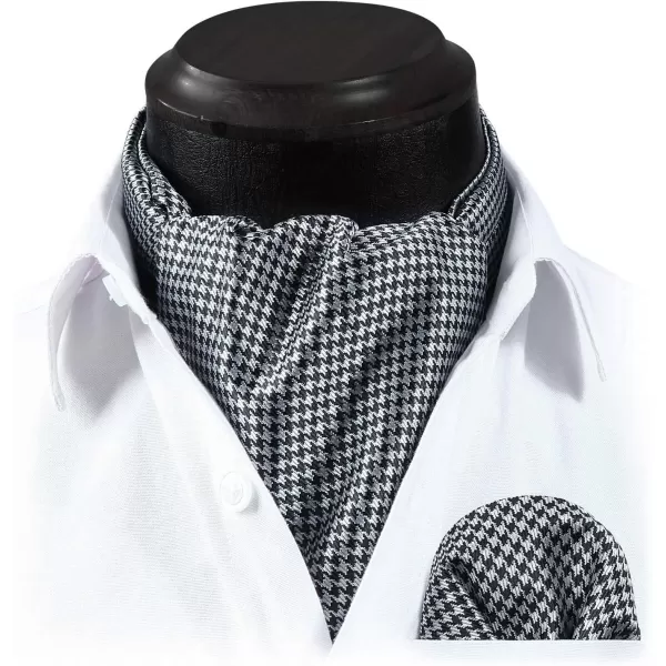 HISDERN Ascot Ties for Men Paisley Cravat Tie and Pocket Square Set Floral Mens Ascot Scarf Handkerchief Wedding Party