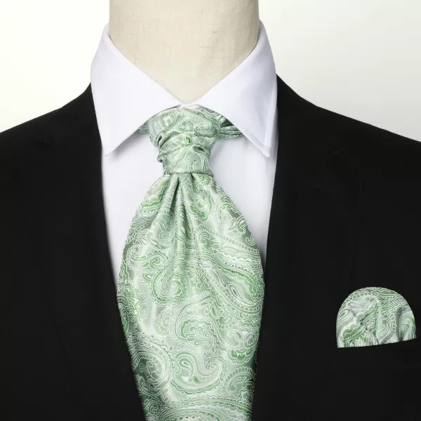 HISDERN Ascot Ties for Men Paisley Cravat Tie and Pocket Square Set Floral Mens Ascot Scarf Handkerchief Wedding Party