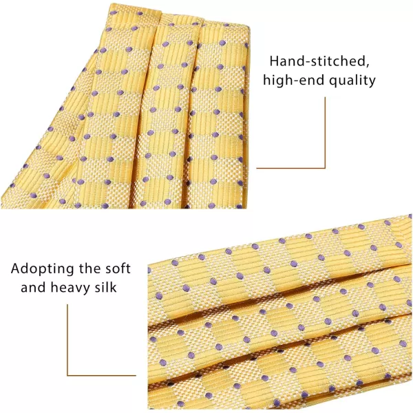 HISDERN Ascot Ties for Men Paisley Cravat Tie and Pocket Square Set Floral Mens Ascot Scarf Handkerchief Wedding Party
