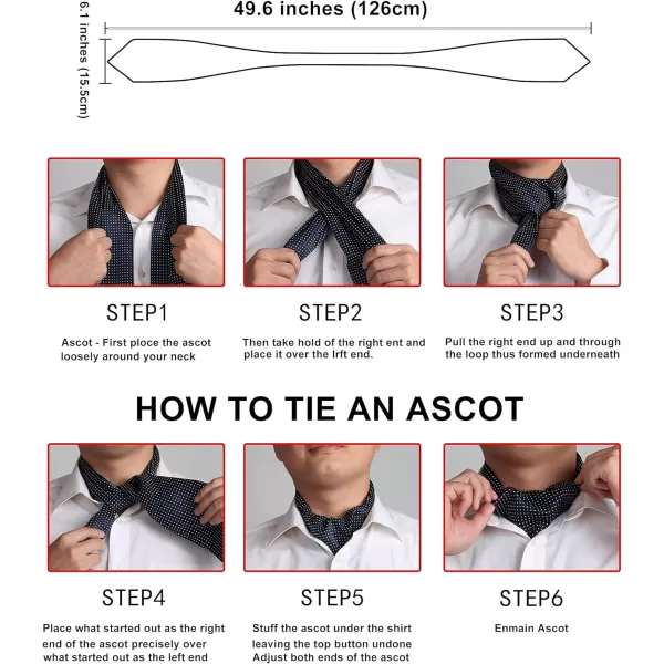 HISDERN Ascot Ties for Men Paisley Cravat Tie and Pocket Square Set Floral Mens Ascot Scarf Handkerchief Wedding Party