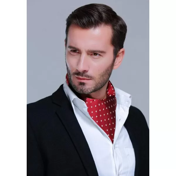 HISDERN Ascot Ties for Men Paisley Cravat Tie and Pocket Square Set Floral Mens Ascot Scarf Handkerchief Wedding Party