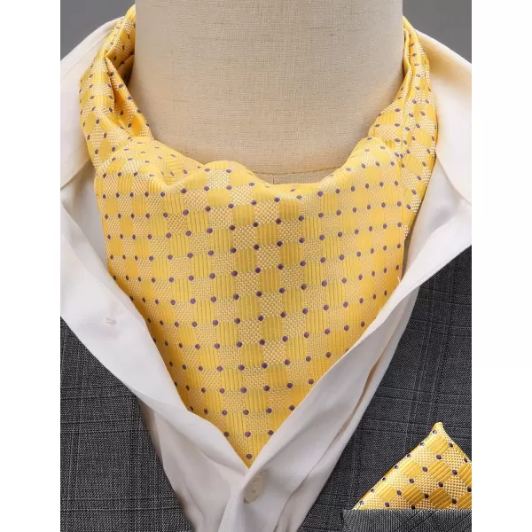 HISDERN Ascot Ties for Men Paisley Cravat Tie and Pocket Square Set Floral Mens Ascot Scarf Handkerchief Wedding Party