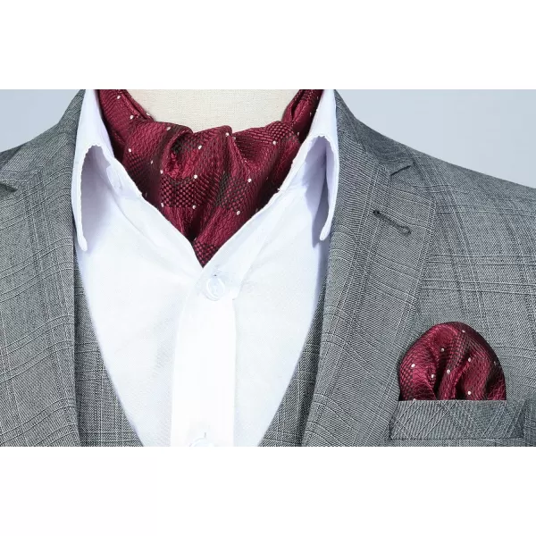 HISDERN Ascot Ties for Men Paisley Cravat Tie and Pocket Square Set Floral Mens Ascot Scarf Handkerchief Wedding Party