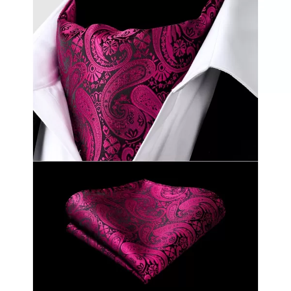HISDERN Ascot Ties for Men Paisley Cravat Tie and Pocket Square Set Floral Mens Ascot Scarf Handkerchief Wedding Party