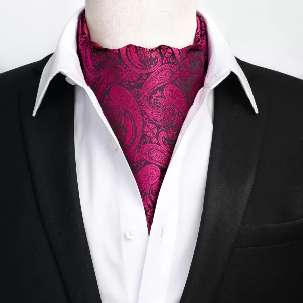 HISDERN Ascot Ties for Men Paisley Cravat Tie and Pocket Square Set Floral Mens Ascot Scarf Handkerchief Wedding Party