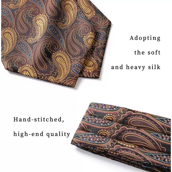 HISDERN Ascot Ties for Men Paisley Cravat Tie and Pocket Square Set Floral Mens Ascot Scarf Handkerchief Wedding Party