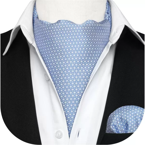 HISDERN Ascot Ties for Men Paisley Cravat Tie and Pocket Square Set Floral Mens Ascot Scarf Handkerchief Wedding Party