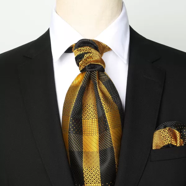HISDERN Ascot Ties for Men Paisley Cravat Tie and Pocket Square Set Floral Mens Ascot Scarf Handkerchief Wedding Party