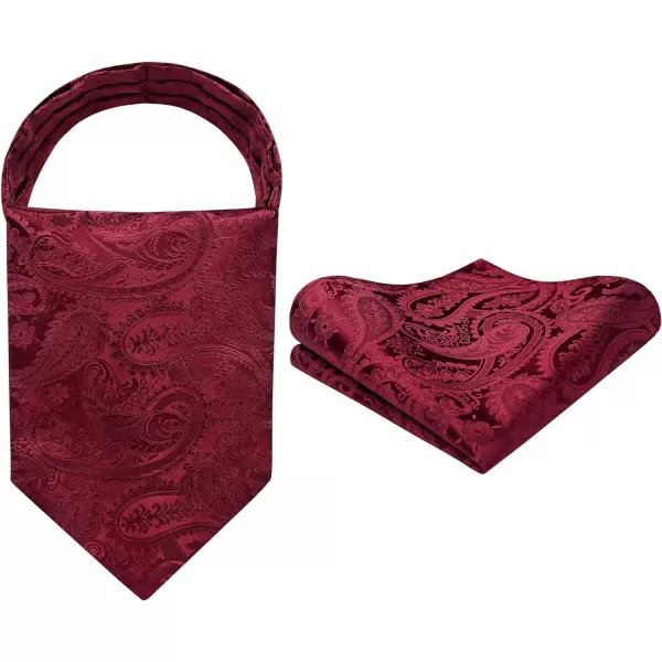 HISDERN Ascot Ties for Men Paisley Cravat Tie and Pocket Square Set Floral Mens Ascot Scarf Handkerchief Wedding Party