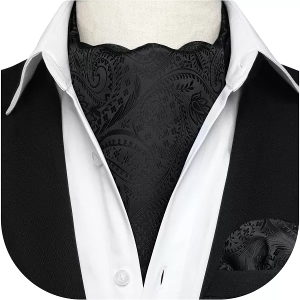 HISDERN Ascot Ties for Men Paisley Cravat Tie and Pocket Square Set Floral Mens Ascot Scarf Handkerchief Wedding Party