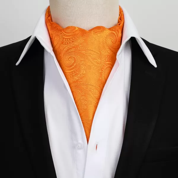 HISDERN Ascot Ties for Men Paisley Cravat Tie and Pocket Square Set Floral Mens Ascot Scarf Handkerchief Wedding Party