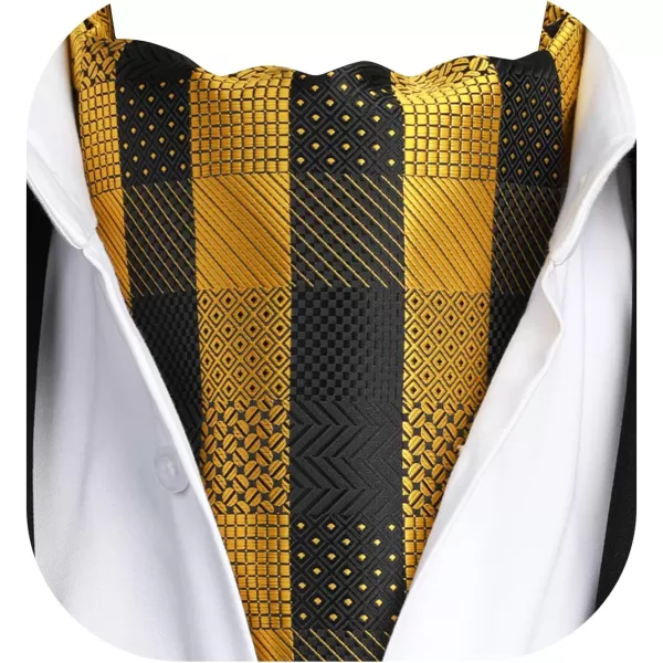 HISDERN Ascot Ties for Men Paisley Cravat Tie and Pocket Square Set Floral Mens Ascot Scarf Handkerchief Wedding Party