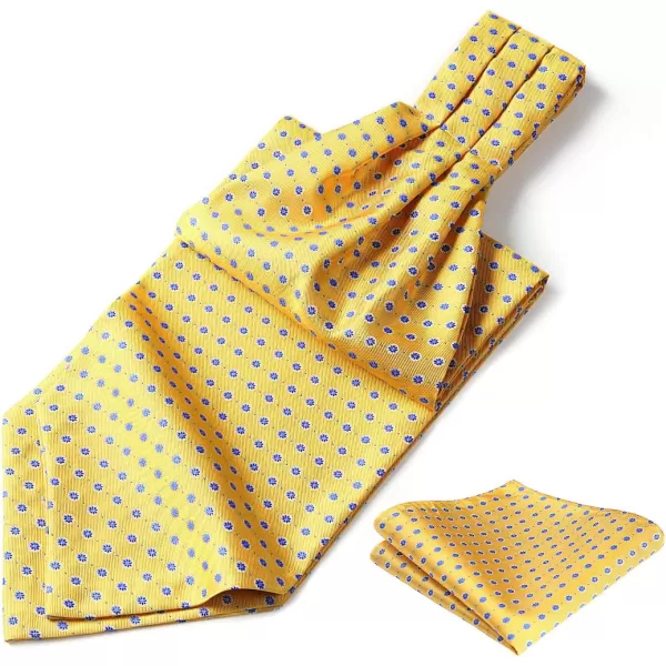 HISDERN Ascot Ties for Men Paisley Cravat Tie and Pocket Square Set Floral Mens Ascot Scarf Handkerchief Wedding Party