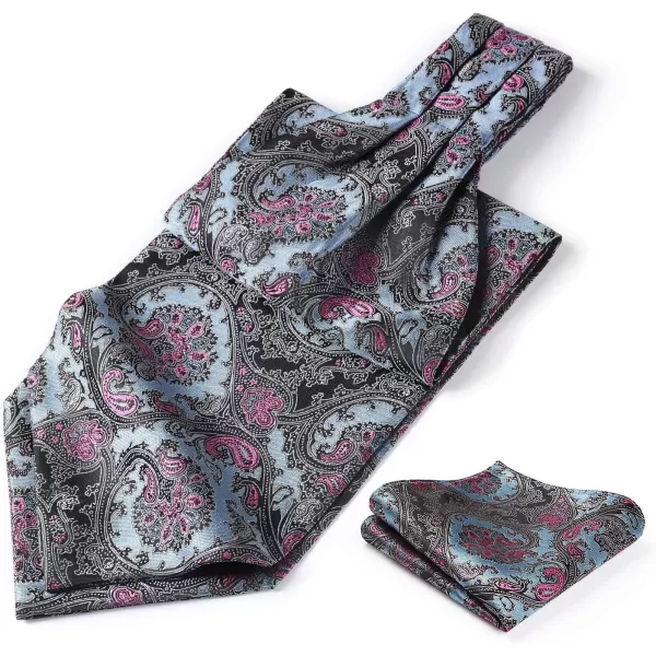 HISDERN Ascot Ties for Men Paisley Cravat Tie and Pocket Square Set Floral Mens Ascot Scarf Handkerchief Wedding Party