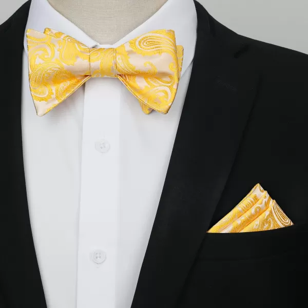 HISDERN Bow Tie and Suspenders for Men Floral Paisley Suspender Bowtie Set Adjustable Strong 6 Clips for Wedding Party