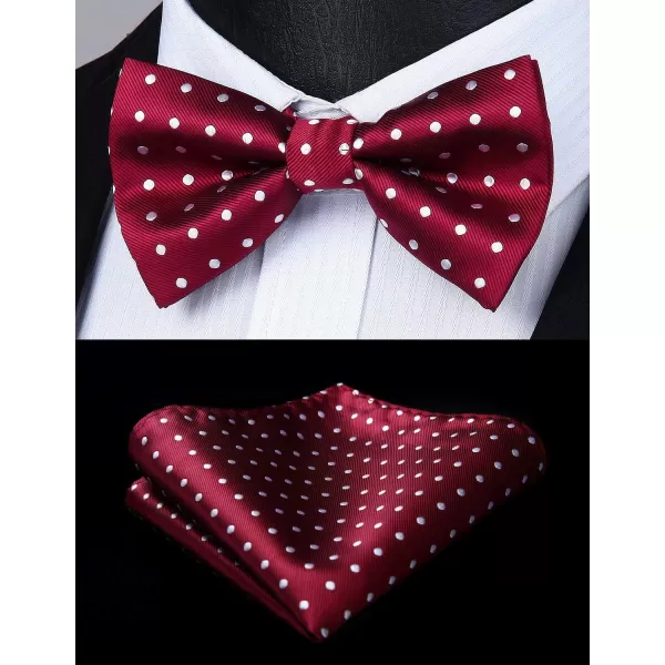 HISDERN Bow Tie and Suspenders for Men Suspender and Bowtie Handkerchief Set Adjustable Y Shape 6 Clips Wedding Brace