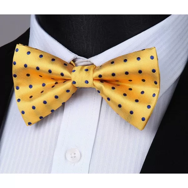 HISDERN Bow Tie and Suspenders for Men Suspender and Bowtie Handkerchief Set Adjustable Y Shape 6 Clips Wedding Brace