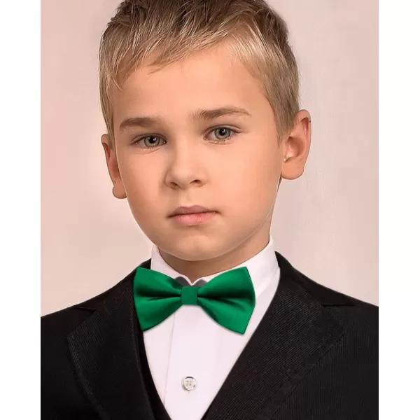 HISDERN Bow Ties for Boys Pre Tied Toddler Bow Tie Adjustable Kids Bowties Clip On Fun Patterned Bowties for Wedding Party