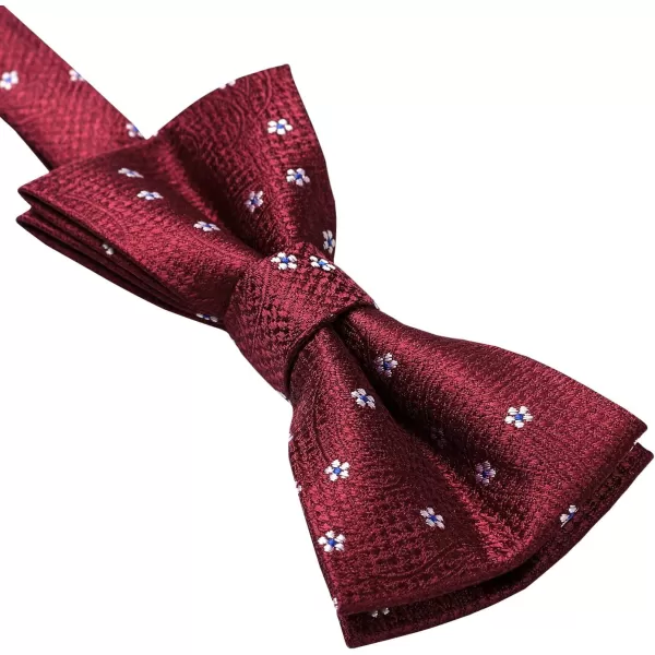 HISDERN Bow Ties for Boys Pre Tied Toddler Bow Tie Adjustable Kids Bowties Clip On Fun Patterned Bowties for Wedding Party