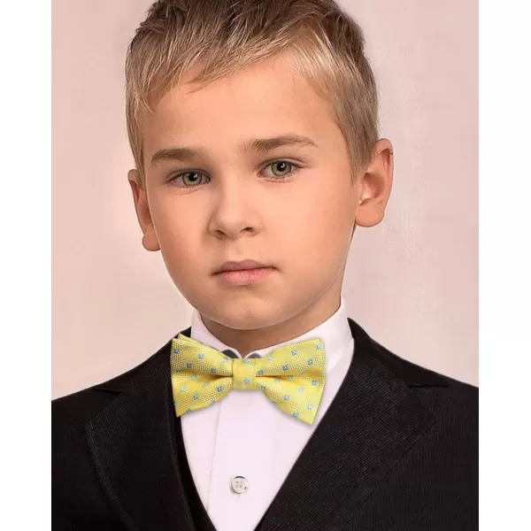 HISDERN Bow Ties for Boys Pre Tied Toddler Bow Tie Adjustable Kids Bowties Clip On Fun Patterned Bowties for Wedding Party