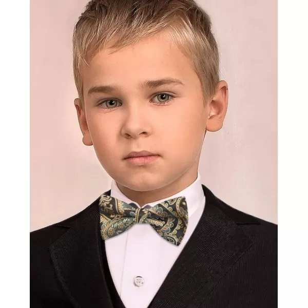HISDERN Bow Ties for Boys Pre Tied Toddler Bow Tie Adjustable Kids Bowties Clip On Fun Patterned Bowties for Wedding Party