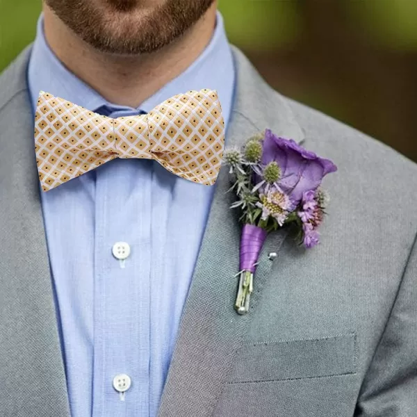 HISDERN Bow Ties for Men 3pcs Mixed Self-Tie Bow tie and Pocket Square Set Classic Formal Tuxedo Wedding &amp; Party Bowtie