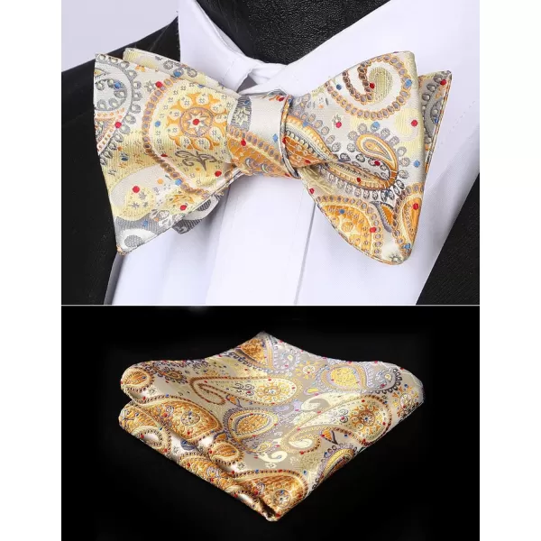HISDERN Bow Ties for Men 3pcs Mixed Self-Tie Bow tie and Pocket Square Set Classic Formal Tuxedo Wedding &amp; Party Bowtie