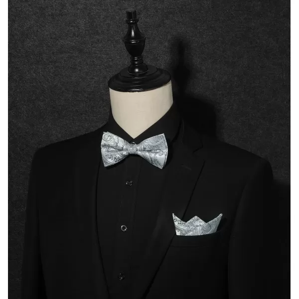 HISDERN Bow Ties for Men 3pcs Mixed Self-Tie Bow tie and Pocket Square Set Classic Formal Tuxedo Wedding &amp; Party Bowtie
