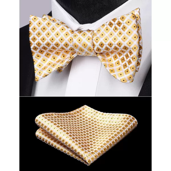 HISDERN Bow Ties for Men 3pcs Mixed Self-Tie Bow tie and Pocket Square Set Classic Formal Tuxedo Wedding &amp; Party Bowtie