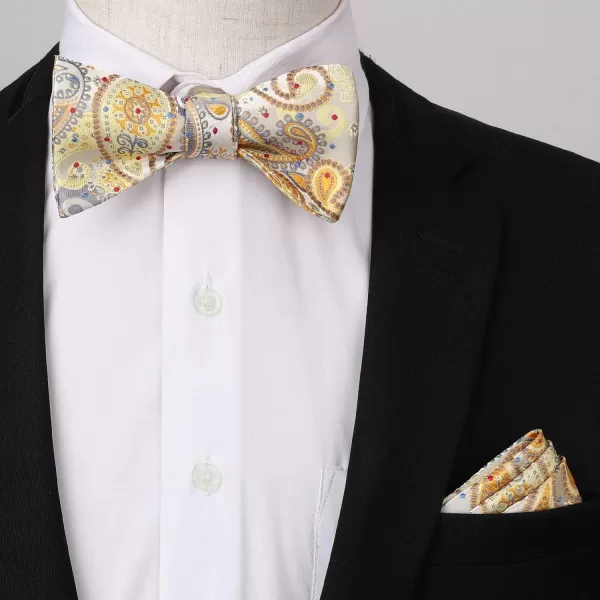 HISDERN Bow Ties for Men 3pcs Mixed Self-Tie Bow tie and Pocket Square Set Classic Formal Tuxedo Wedding &amp; Party Bowtie
