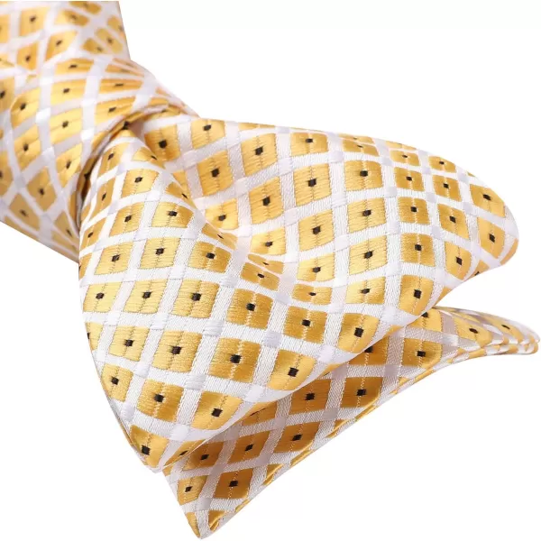 HISDERN Bow Ties for Men Check Plaid Self Tie Bow Tie and Pocket Square Bowtie Formal Tuxedo Wedding Bowties Handkerchief Set