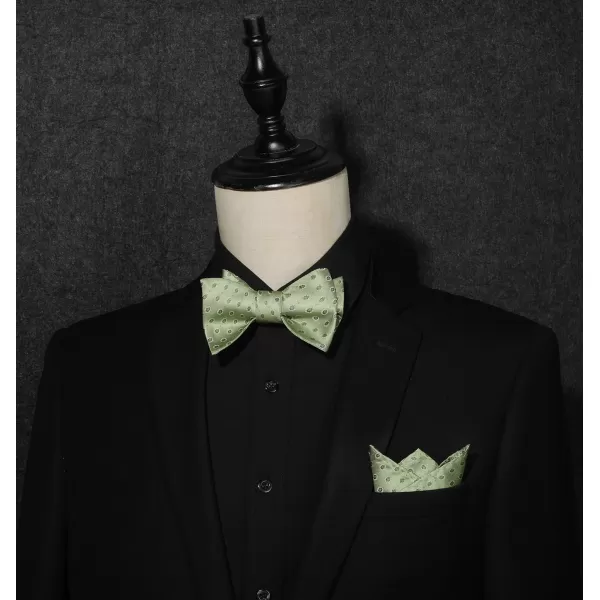 HISDERN Bow Ties for Men Floral Bowties Mens Self Tie Bow Tie Handkerchief Jacquard Woven Bowtie Pocket Square Set