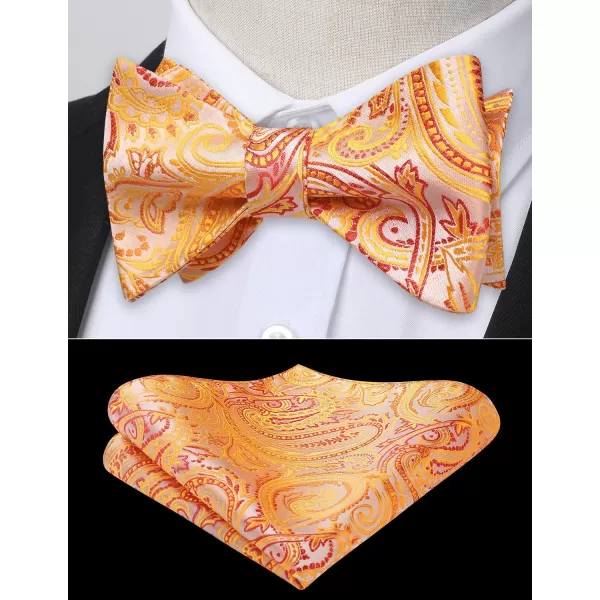 HISDERN Bow Ties for Men Paisley Bowties Mens Self Tie Bow Tie and Pocket Square Set Formal Tuxedo Wedding Bowtie
