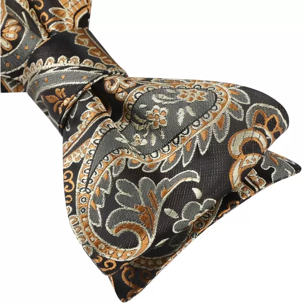 HISDERN Bow Ties for Men Paisley Bowties Mens Self Tie Bow Tie and Pocket Square Set Formal Tuxedo Wedding Bowtie