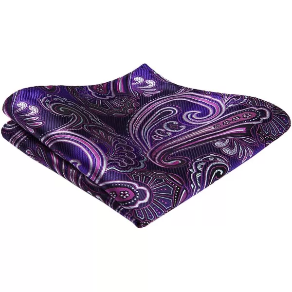 HISDERN Bow Ties for Men Paisley Bowties Mens Self Tie Bow Tie and Pocket Square Set Formal Tuxedo Wedding Bowtie