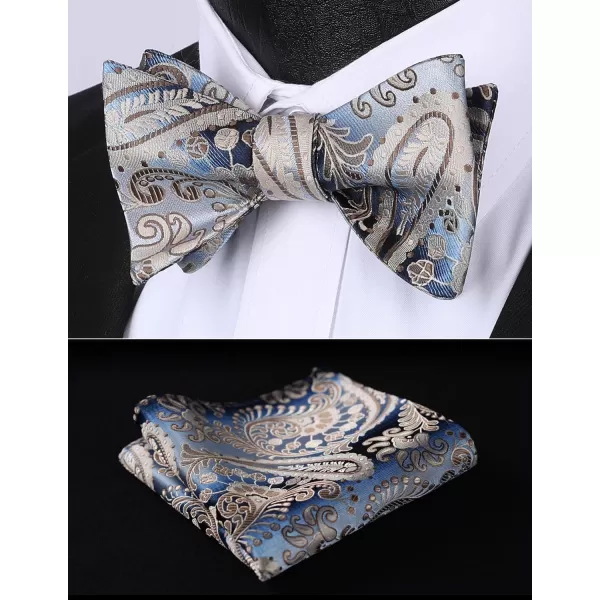 HISDERN Bow Ties for Men Paisley Bowties Mens Self Tie Bow Tie and Pocket Square Set Formal Tuxedo Wedding Bowtie