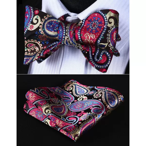 HISDERN Bow Ties for Men Paisley Bowties Mens Self Tie Bow Tie and Pocket Square Set Formal Tuxedo Wedding Bowtie