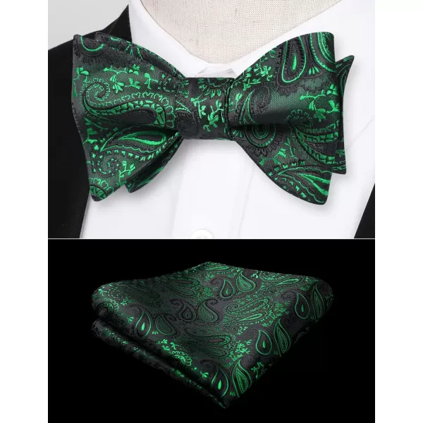 HISDERN Bow Ties for Men Paisley Bowties Mens Self Tie Bow Tie and Pocket Square Set Formal Tuxedo Wedding Bowtie