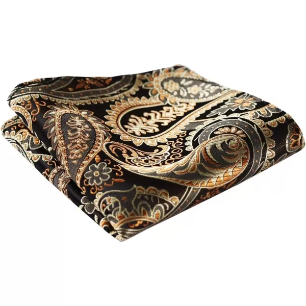 HISDERN Bow Ties for Men Paisley Bowties Mens Self Tie Bow Tie and Pocket Square Set Formal Tuxedo Wedding Bowtie