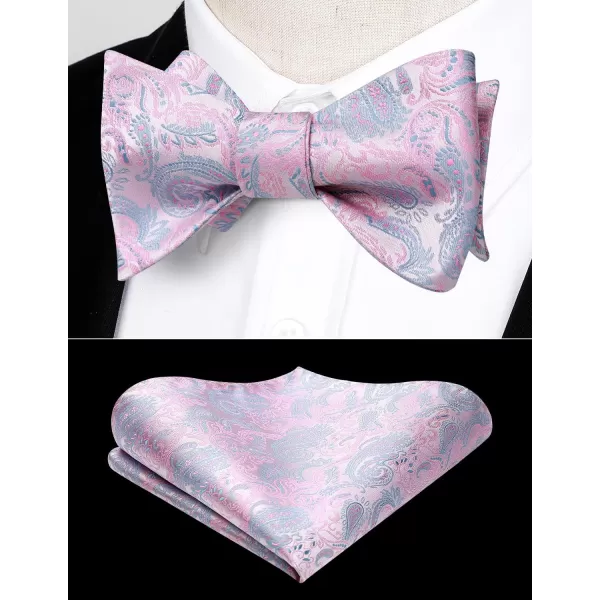 HISDERN Bow Ties for Men Paisley Bowties Mens Self Tie Bow Tie and Pocket Square Set Formal Tuxedo Wedding Bowtie