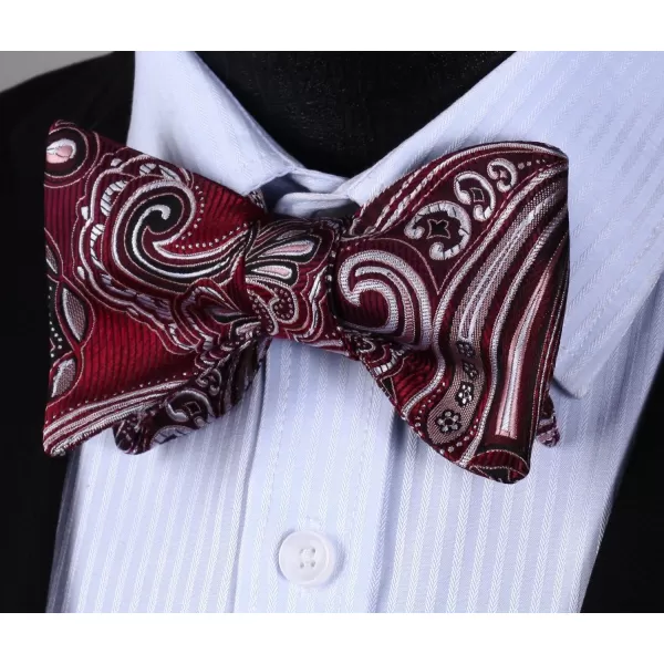 HISDERN Bow Ties for Men Paisley Bowties Mens Self Tie Bow Tie and Pocket Square Set Formal Tuxedo Wedding Bowtie