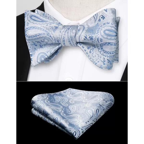 HISDERN Bow Ties for Men Paisley Bowties Mens Self Tie Bow Tie and Pocket Square Set Formal Tuxedo Wedding Bowtie