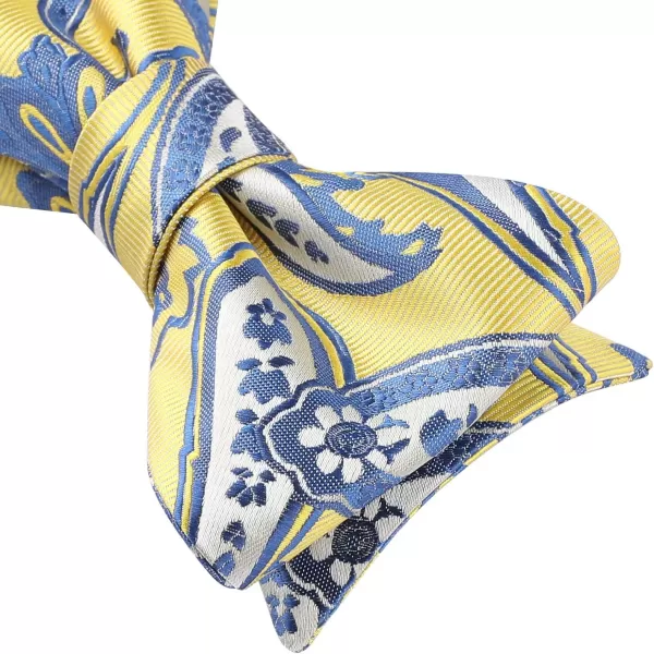 HISDERN Bow Ties for Men Paisley Bowties Mens Self Tie Bow Tie and Pocket Square Set Formal Tuxedo Wedding Bowtie