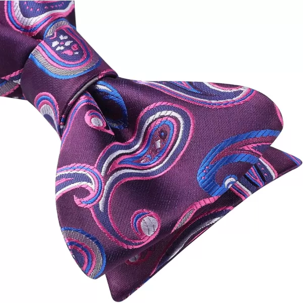 HISDERN Bow Ties for Men Paisley Bowties Mens Self Tie Bow Tie and Pocket Square Set Formal Tuxedo Wedding Bowtie