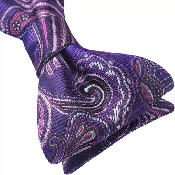 HISDERN Bow Ties for Men Paisley Bowties Mens Self Tie Bow Tie and Pocket Square Set Formal Tuxedo Wedding Bowtie