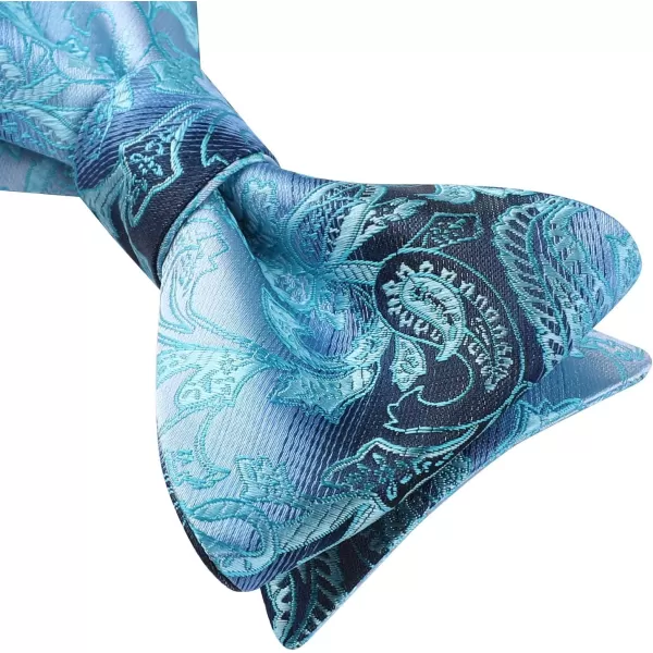 HISDERN Bow Ties for Men Paisley Bowties Mens Self Tie Bow Tie and Pocket Square Set Formal Tuxedo Wedding Bowtie