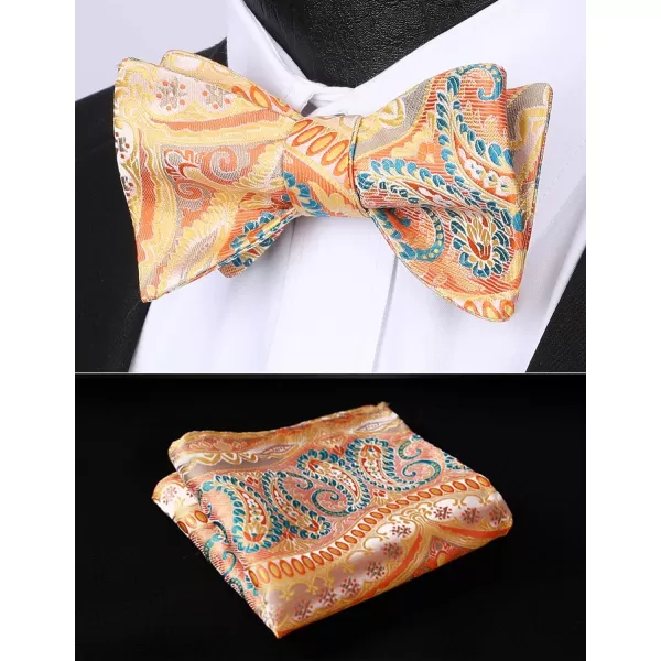HISDERN Bow Ties for Men Paisley Bowties Mens Self Tie Bow Tie and Pocket Square Set Formal Tuxedo Wedding Bowtie