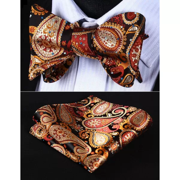 HISDERN Bow Ties for Men Paisley Bowties Mens Self Tie Bow Tie and Pocket Square Set Formal Tuxedo Wedding Bowtie