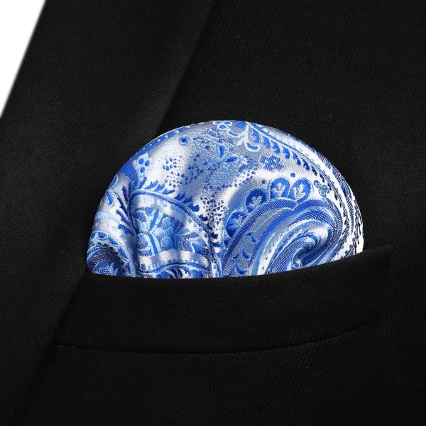 HISDERN Bow Ties for Men Paisley Bowties Mens Self Tie Bow Tie and Pocket Square Set Formal Tuxedo Wedding Bowtie